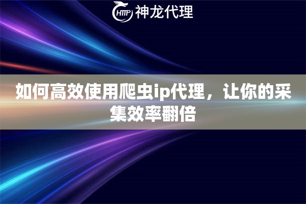 如何高效使用爬虫ip代理，让你的采集效率翻倍