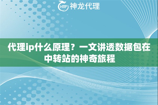 代理ip什么原理？一文讲透数据包在中转站的神奇旅程