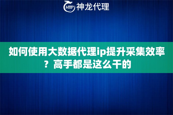如何使用大数据代理ip提升采集效率？高手都是这么干的