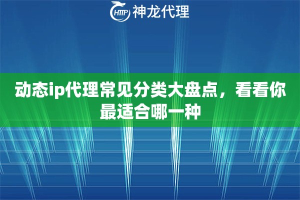 动态ip代理常见分类大盘点，看看你最适合哪一种