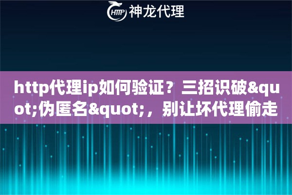 http代理ip如何验证？三招识破"伪匿名"，别让坏代理偷走你的数据