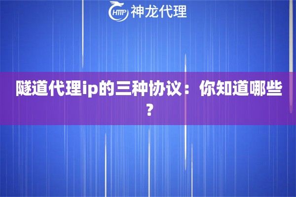 隧道代理ip的三种协议：你知道哪些？