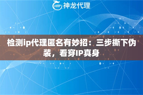 检测ip代理匿名有妙招:三步撕下伪装,看穿IP真身 检测ip代理匿名有妙招:三步撕下伪装,看穿IP真身