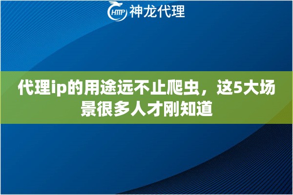 代理ip的用途远不止爬虫，这5大场景很多人才刚知道