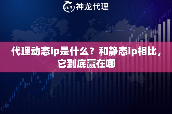 代理动态ip是什么？和静态ip相比，它到底赢在哪