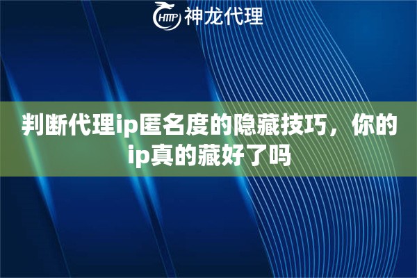 判断代理ip匿名度的隐藏技巧,你的ip真的藏好了吗 判断代理ip匿名度的隐藏技巧,你的ip真的藏好了吗