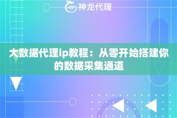 大数据代理ip教程：从零开始搭建你的数据采集通道