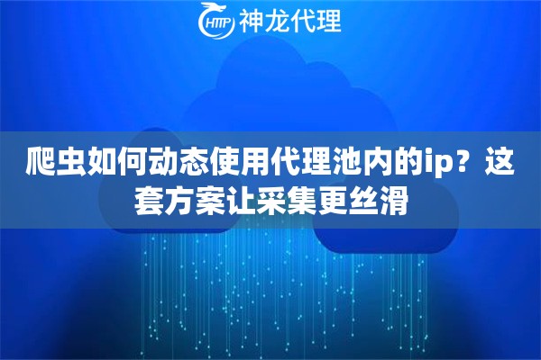 爬虫如何动态使用代理池内的ip？这套方案让采集更丝滑