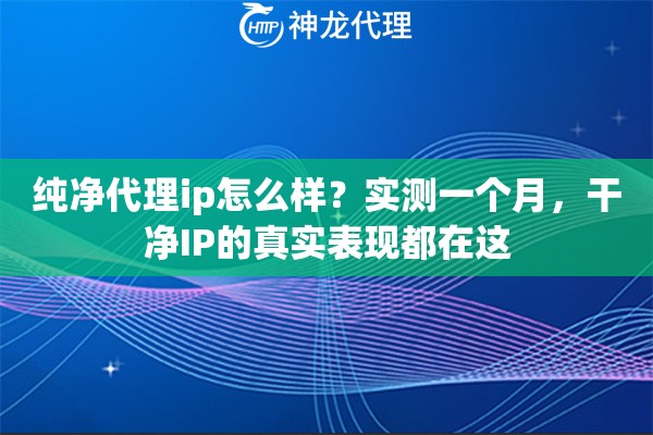 纯净代理ip怎么样？实测一个月，干净IP的真实表现都在这