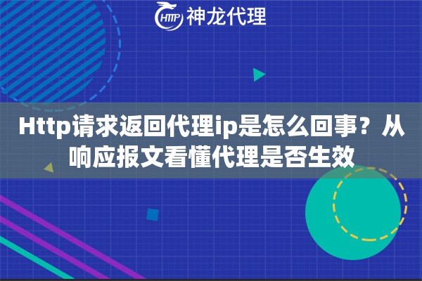 Http请求返回代理ip是怎么回事？从响应报文看懂代理是否生效