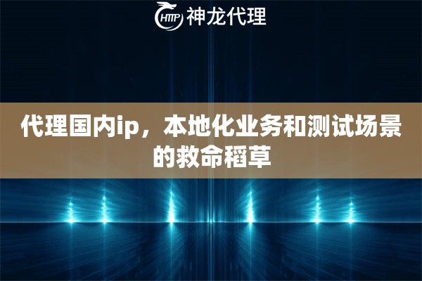 代理国内ip，本地化业务和测试场景的救命稻草