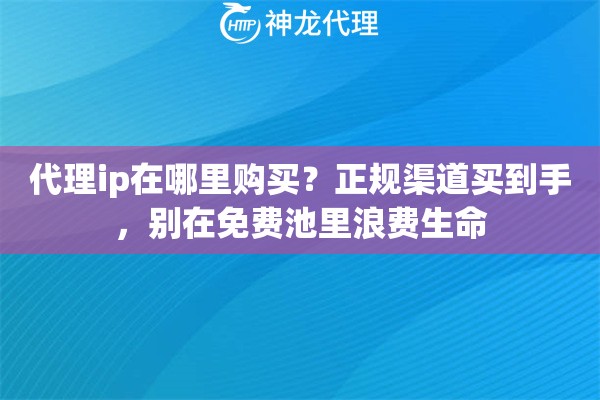代理ip在哪里购买？正规渠道买到手，别在免费池里浪费生命
