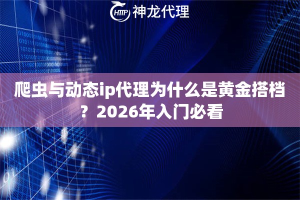 爬虫与动态ip代理为什么是黄金搭档？2026年入门必看