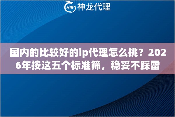 国内的比较好的ip代理怎么挑？2026年按这五个标准筛，稳妥不踩雷