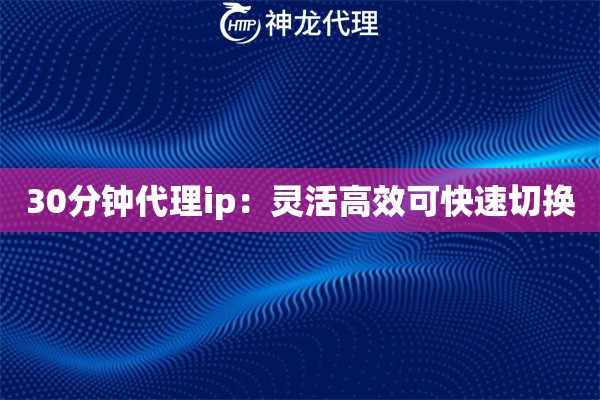 30分钟代理ip：灵活高效可快速切换