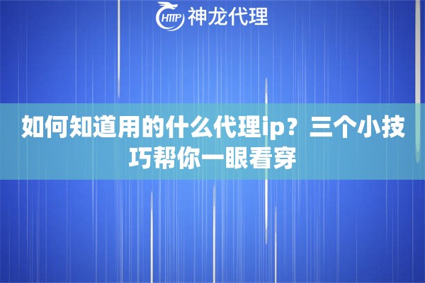 如何知道用的什么代理ip？三个小技巧帮你一眼看穿