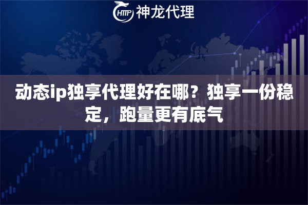 动态ip独享代理好在哪？独享一份稳定，跑量更有底气
