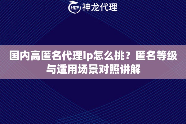 国内高匿名代理ip怎么挑？匿名等级与适用场景对照讲解