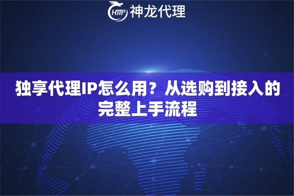 独享代理IP怎么用？从选购到接入的完整上手流程