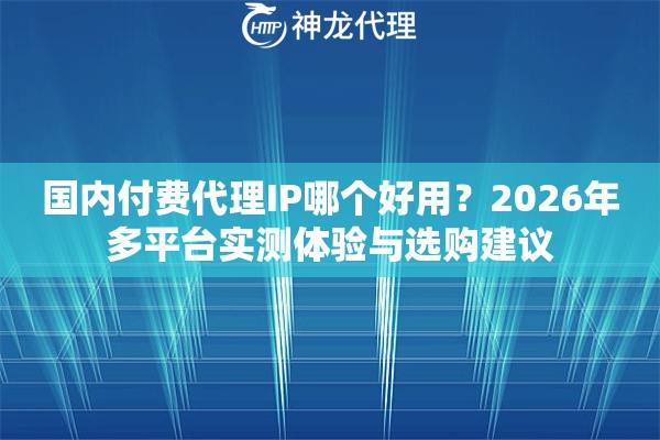 国内付费代理IP哪个好用？2026年多平台实测体验与选购建议