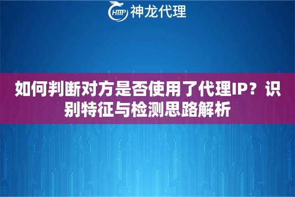 如何判断对方是否使用了代理IP？识别特征与检测思路解析