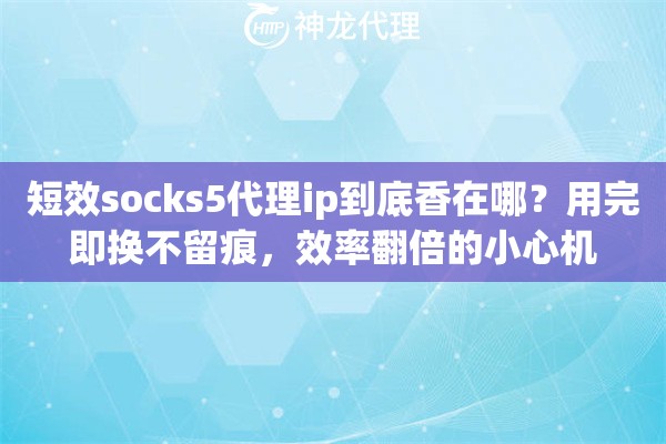 短效socks5代理ip到底香在哪？用完即换不留痕，效率翻倍的小心机