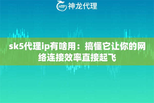 sk5代理ip有啥用：搞懂它让你的网络连接效率直接起飞