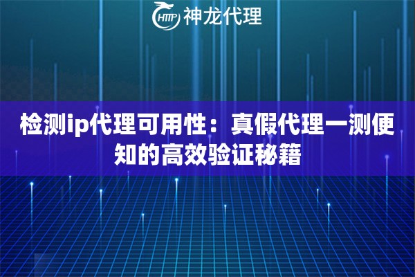 检测ip代理可用性：真假代理一测便知的高效验证秘籍