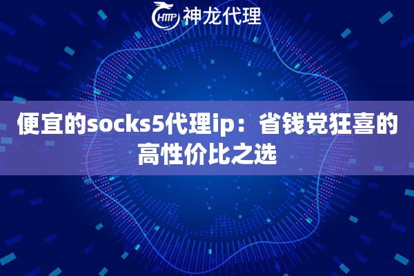 便宜的socks5代理ip：省钱党狂喜的高性价比之选