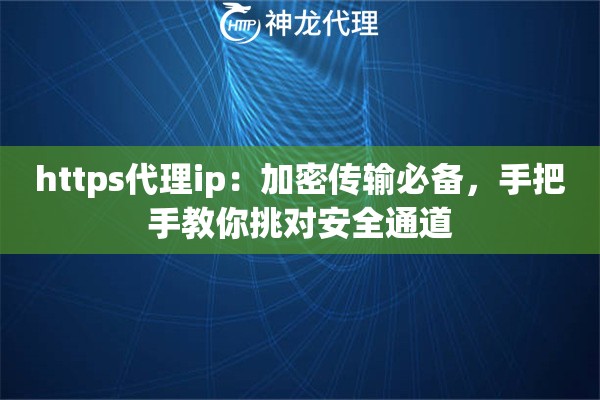 https代理ip：加密传输必备，手把手教你挑对安全通道
