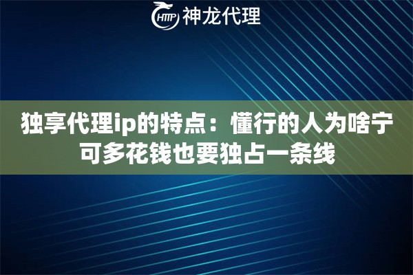 独享代理ip的特点：懂行的人为啥宁可多花钱也要独占一条线