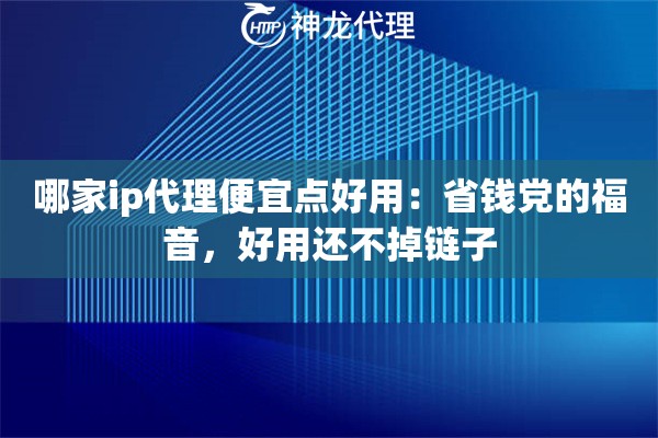 哪家ip代理便宜点好用：省钱党的福音，好用还不掉链子