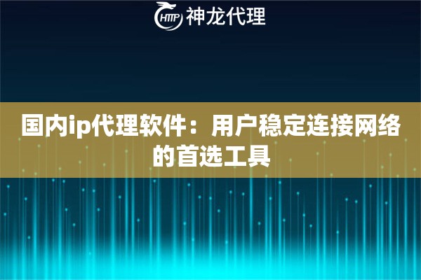 国内ip代理软件：用户稳定连接网络的首选工具