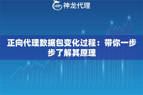 正向代理数据包变化过程：带你一步步了解其原理