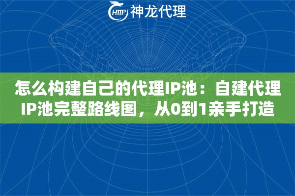 怎么构建自己的代理IP池：自建代理IP池完整路线图，从0到1亲手打造