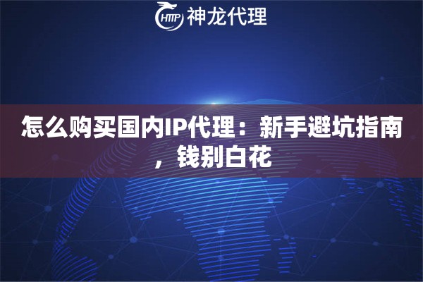 怎么购买国内IP代理:新手避坑指南,钱别白花 怎么购买国内IP代理:新手避坑指南,钱别白花