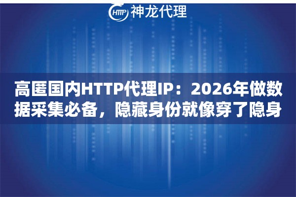 高匿国内HTTP代理IP:2026年做数据采集必备,隐藏身份就像穿了隐身衣 高匿国内HTTP代理IP:2026年做数据采集必备,隐藏身份就像穿了隐身衣