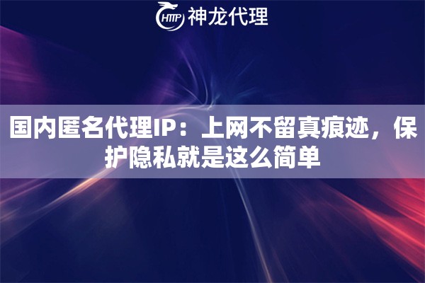国内匿名代理IP：上网不留真痕迹，保护隐私就是这么简单