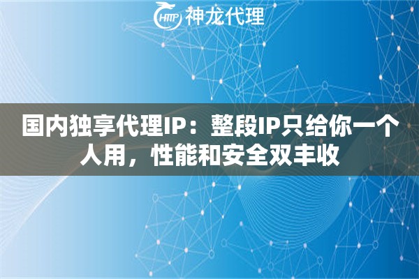 国内独享代理IP：整段IP只给你一个人用，性能和安全双丰收