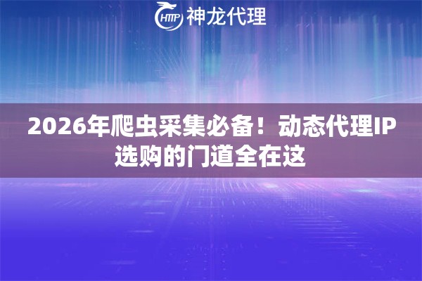 2026年爬虫采集必备！动态代理IP选购的门道全在这