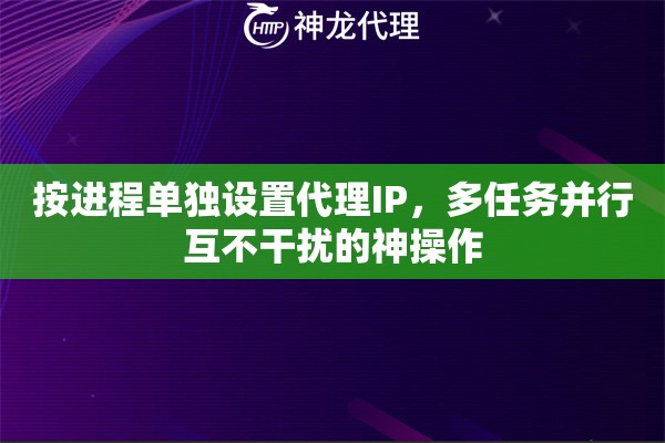 按进程单独设置代理IP，多任务并行互不干扰的神操作