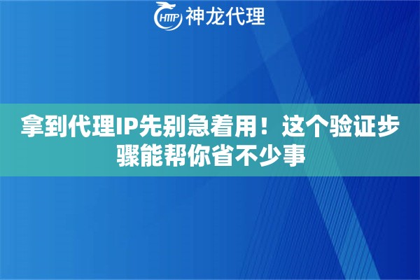 拿到代理IP先别急着用！这个验证步骤能帮你省不少事