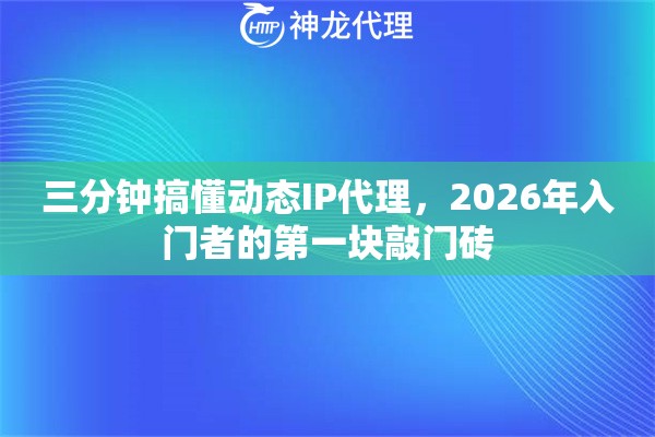 三分钟搞懂动态IP代理，2026年入门者的第一块敲门砖