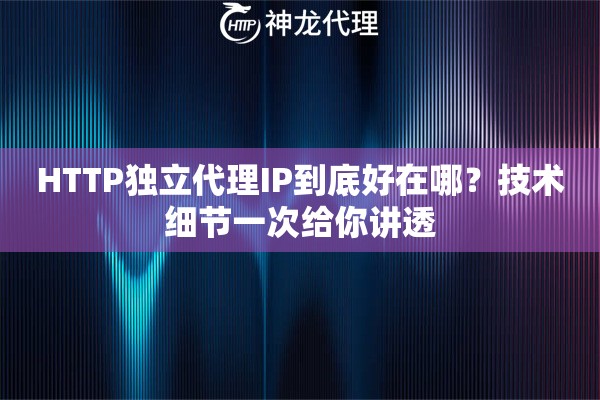 HTTP独立代理IP到底好在哪？技术细节一次给你讲透
