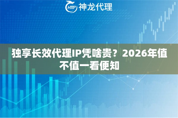 独享长效代理IP凭啥贵？2026年值不值一看便知