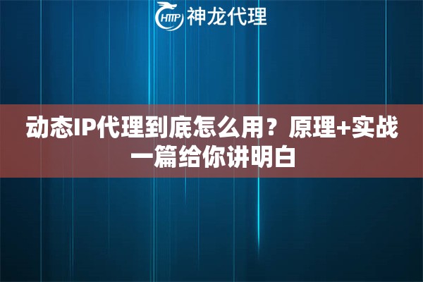 动态IP代理到底怎么用？原理+实战一篇给你讲明白