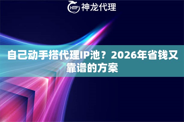 自己动手搭代理IP池？2026年省钱又靠谱的方案