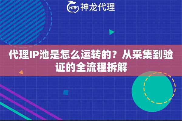 代理IP池是怎么运转的？从采集到验证的全流程拆解
