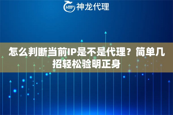 怎么判断当前IP是不是代理？简单几招轻松验明正身