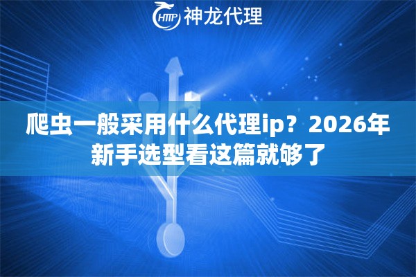 爬虫一般采用什么代理ip？2026年新手选型看这篇就够了